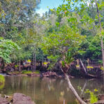 cachoeira dos índios - massarandupio.tur.br-10